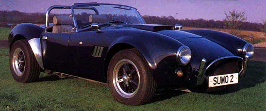pic1.gif - 91768 Bytes