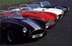 sugroup.gif - 29084 Bytes