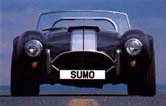 sumfront.gif - 14639 Bytes